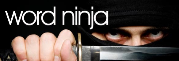 Word_Ninja_Blog